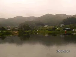 [토종붕어조일]조황소식~