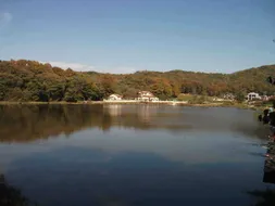 [토종붕어조일] 조황정보~