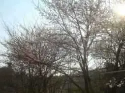 ~~~호조황의 연속을 기다리며~~~