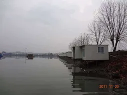 입석 낚시터11월23일 조황안내(토종댐붕어)