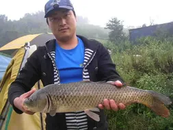 9월 셋째주 소식