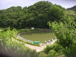 회자정리 거자필반(會者定離 去者必返)