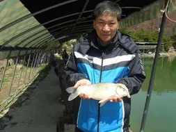 가평-은행나무낚시공원 4짜조황(4월12일)