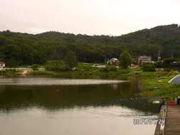 [토종붕어조일]조황소식~