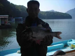 의암 삼천낚시터 조황