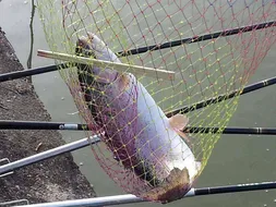 [유일낚시터] 송어들이 기다리고있는곳!!!