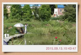 충남 아산 월선낚시터 9월 13일자 조황정보