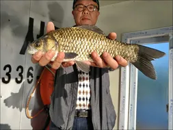 18.05.28 송전지 서울집 조황