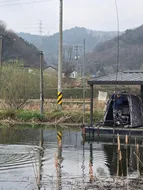 겨우내 대량방류