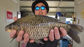 양촌좌대 손맛보러 오세요!!