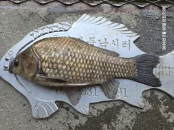 용담대물낚시터