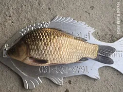 용담대물낚시터