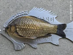 용담대물낚시터