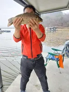 겨우내  대량방류