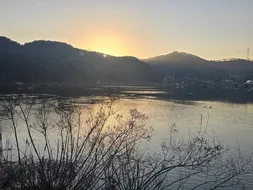 남한강 대물붕어 대량방류