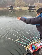 겨우내  대량방류