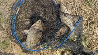 아산 명품 월랑낚시터  3월 두번째 조황화보입니다...^^