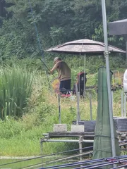 배수없는 항곡낚시터 조황