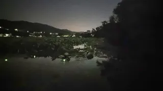 아산 명품 월랑낚시터 7월 첫번째 조황 화보입니다...^^