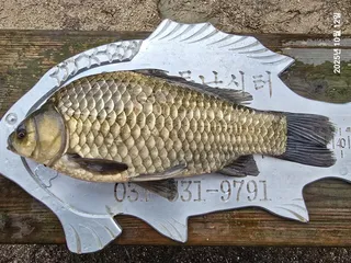 용담대물낚시터 