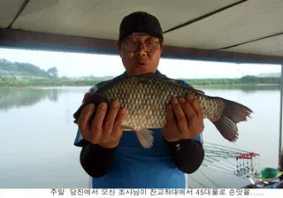 주말 신봉지는 곳곳에서 토종대물이.....