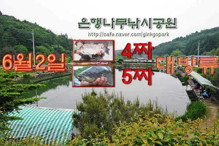 4짜5짜 토종참붕어 조황