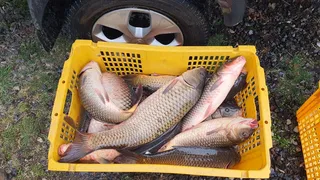 충주시 수안보면 중산길185 중산낚시터 개장