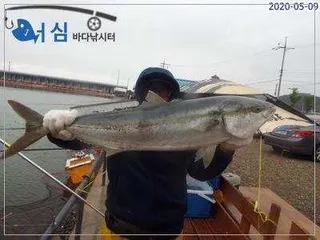 5월9일 어심바다낚시터조황
