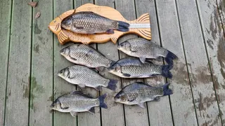 아산 명품 월랑낚시터 10월 두번째  조황소식입니다.....^^