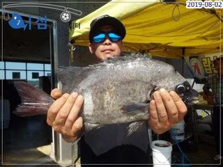 8월2일 어심바다낚시터조황