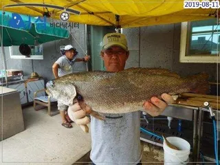 8월11일 어심바다낚시터조황 