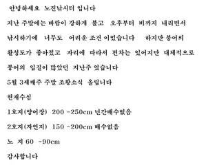 노진낚시터  ( 토 종 잡 이 터) 조황 소식 입니다~