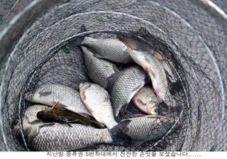 6월도 절반이 지나갑니다.....