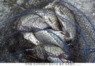 지겨운 폭염이 아직도......