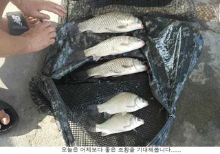 무더위가 언제나 지나갈까요....