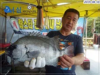 8월10일 어심바다낚시터조황