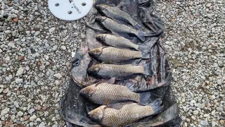 아산 명품 월랑낚시터 11월   조황화보입니다.....^^