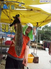  8월21일 어심바다낚시터조황 