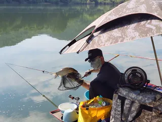 장계낚시터주말조항