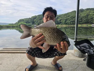 배수없는 당진항곡낚시터 조황