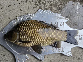 용담대물낚시터 