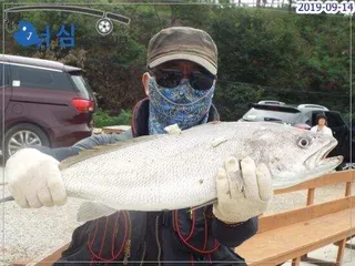 9월14일어심바다낚시터조황