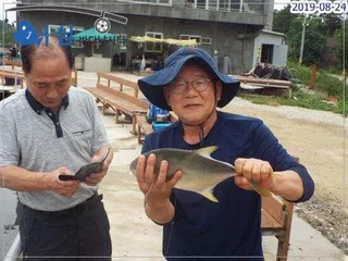 8월24일어심바다낚시터조황  