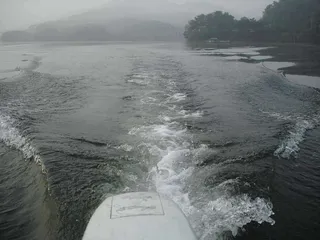 [금광지]조황정보입니다