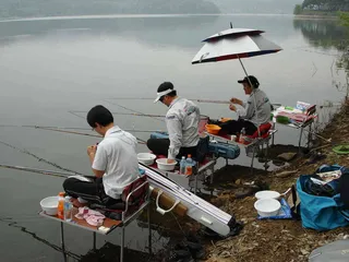 [[금광지]]조황 정보 입니다