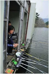 {{회암}} 월척이상의 덩어리급 붕어들만을 방류...