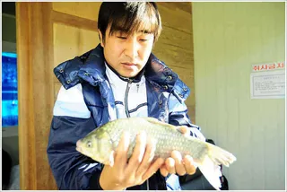 {{회암}} 가을밤이 지나고 아침의 햇살이...