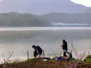 개심지 5월 첫째주 모습