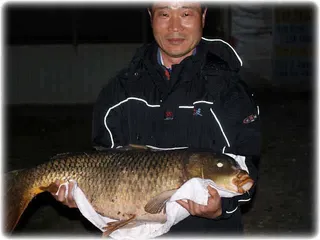 매전낚시터에 대물(쪼매 큰 잉어)출현!^^