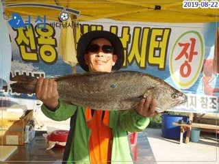  8월22일어심바다낚시터조황